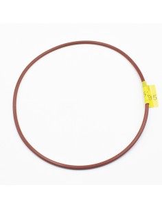 Junta tapa filtro piscina EMAUX p/SMG 02021065