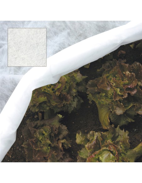 Malla Protectora para plantas (1,6x 250 metros)