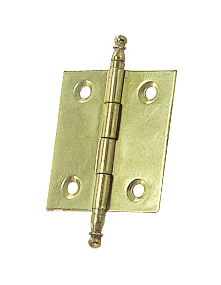 Bisagra Latonada Desmontable 210      60x50