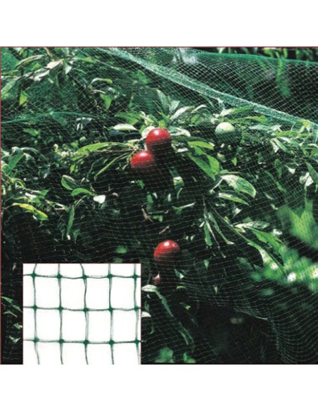 Malla Antipajaros (Rollo 2 x 10 Metros) Red Proteger Arboles, Cultivos, Frutas.