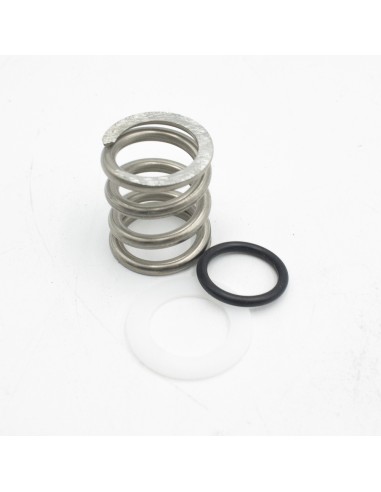 Muelle valvula selectora ASTRAL 1½" Flat 4404122404