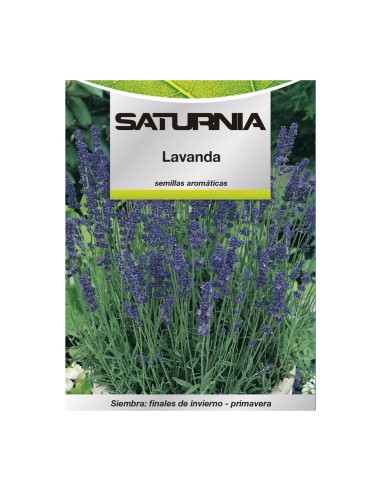 SATURNIA lavender seeds (lavandula officinalis) 0.5gr 08093721