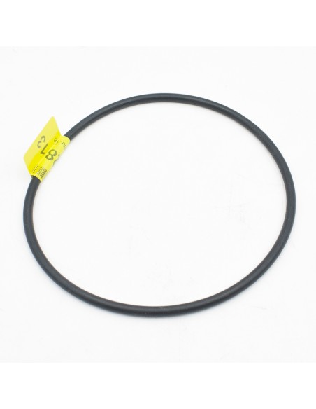 Junta tapa prefiltro bomba piscina ACIS mod. MPB/MJB  A-OR-167-4-6-3