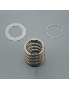 Muelle valvula selectora ASTRAL 2½" resorte con arandelas...