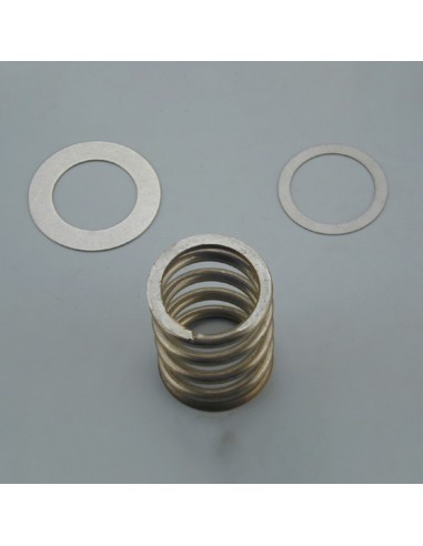 Muelle valvula selectora ASTRAL 2½" resorte con arandelas 4404120703