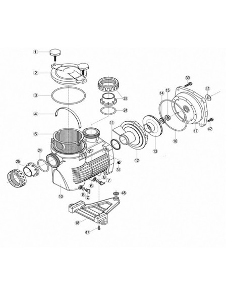 Porta-cierre bomba piscina HAYWARD brida union motor-prefiltro E-Flo 500100080002