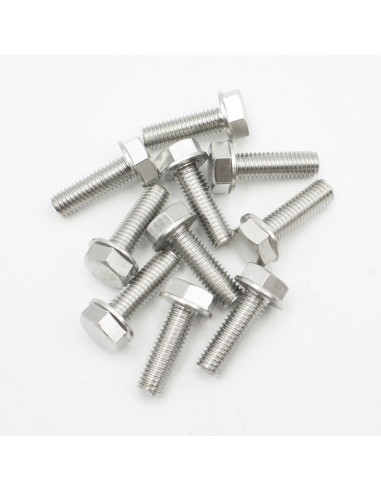 Tornillos escalera piscina FLEXINOX juego 10und...