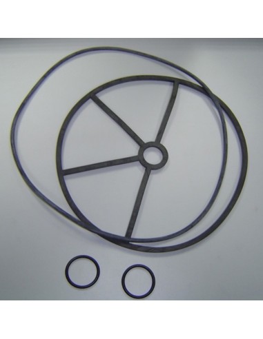 Juntas valvula selectora ASTRAL 3" Magnum...