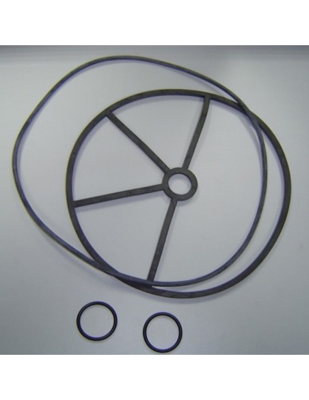 Juntas valvula selectora ASTRAL 3" Magnum 4404122004