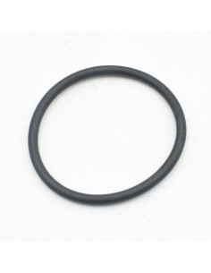 Junta difusor bomba piscina QP Bravia 512550