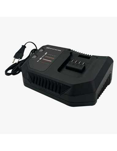 Cargador bateria DATACOL 20V 4A DTD1100ES