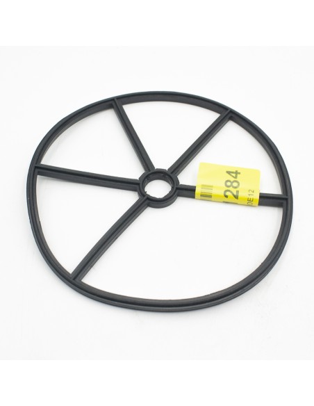 Junta distribuidor valvula selectora PENTAIR Triton 2" TR100/TR140 RGC20E12 (antigua G-C20E-12)