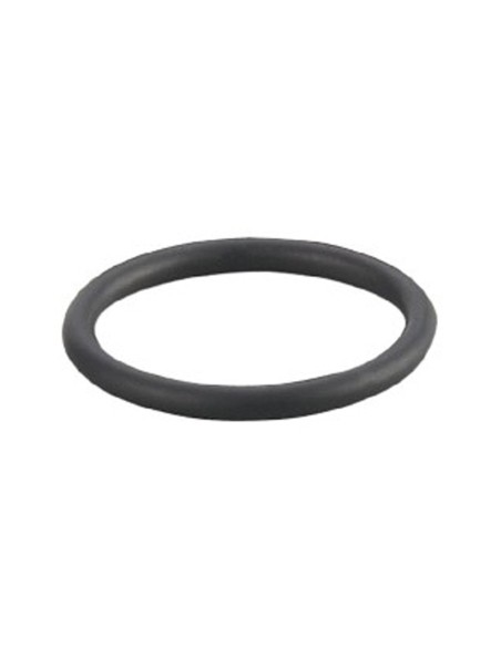 Junta descalcificador PENTAIR Fleck para adaptador 5600 13305-01
