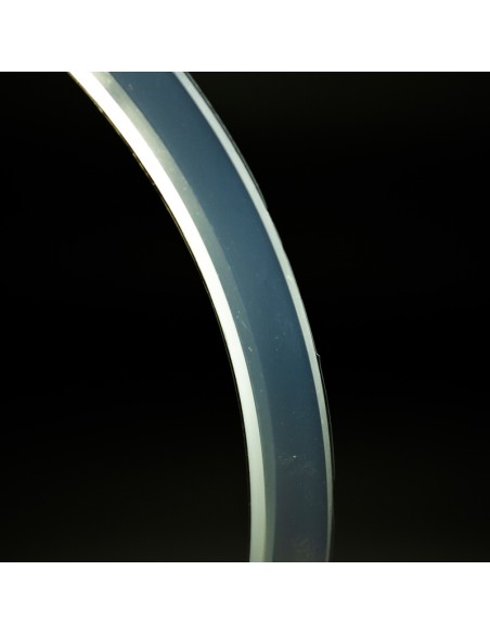 Junta proyector ASTRAL extraplano 4403010102 silicona