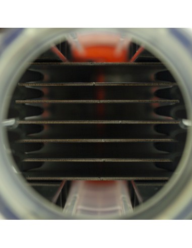 Clorador salino BSPOOL BsOne Basic 20gr/h