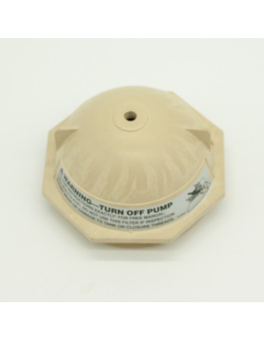 PENTAIR Triton pool filter cover 150mm R154559 old