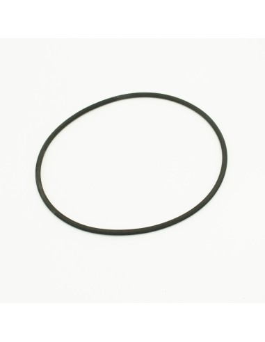 Junta tapa filtro piscina CORAL...