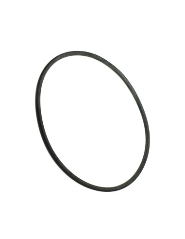 Junta tapa prefiltro ESPA Silen2/Tifon 204888