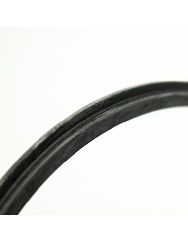 Junta tapa prefiltro ESPA Silen2/Tifon 204888