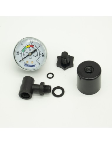 Manometro filtro piscina ASTRAL vertical 1/8"...