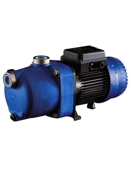 Bomba piscina POLARIS presion limpiafondos 1.00cv mf W4530248