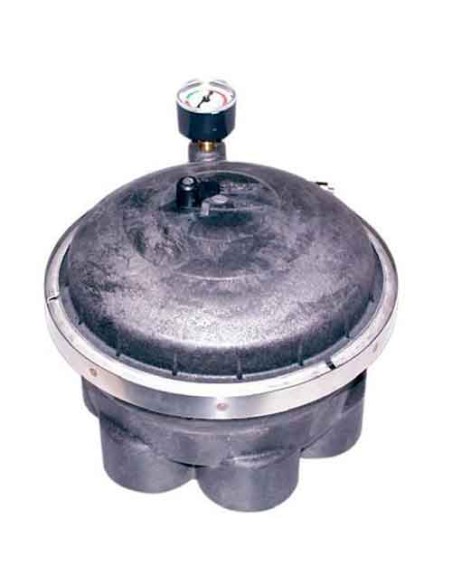 Valvula limpiafondos integrado PARAMOUNT Pool Valet distribucion 6 puertos 004302418603