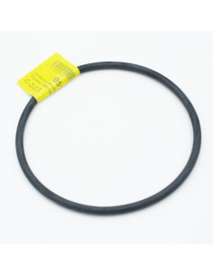 Junta tapa prefiltro bomba piscina HASA Panther 090619A22