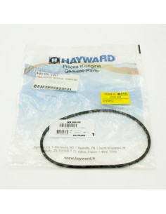 Junta cuerpo bomba piscina HAYWARD Powerflo... 2