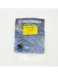 Tornillo bomba HAYWARD tapon desague + junta... 2