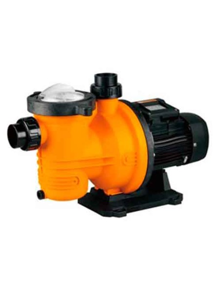 FCP Bomba tipo Silen 1.00 cv mf