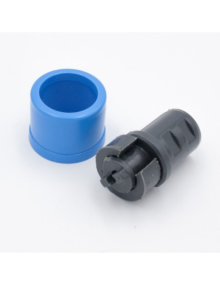 Excentrica pertiga piscina ASTRAL + embellecedor 4406030201