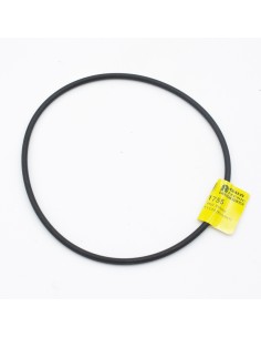 Junta tapa filtro piscina HW Veleta 500/650 RPE-0211134