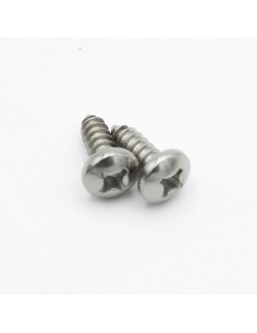 Tornillo proyector CORAL soporte a nicho 34003516 (QP) (x2)