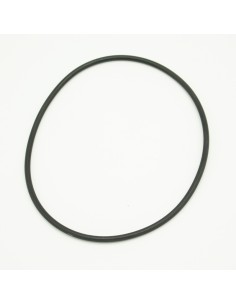 Junta tapa filtro piscina ASTRAL Laminado 4404100007