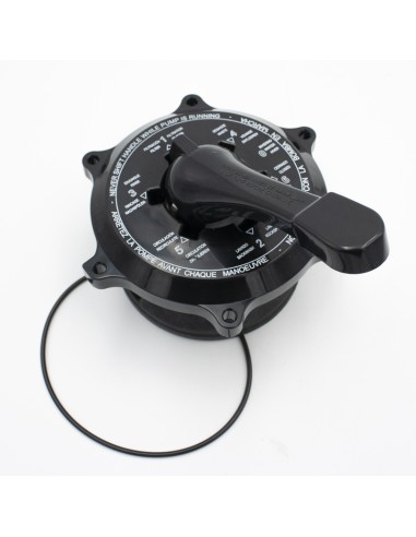 Conjunto distribuidor valvula selectora HAYWARD...