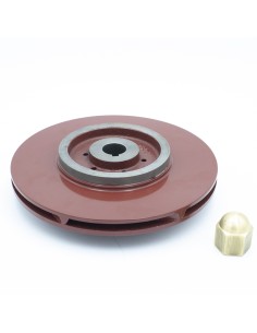 Turbina bomba ASTRAL   7.5cv Aral C-1500 4405020416 2