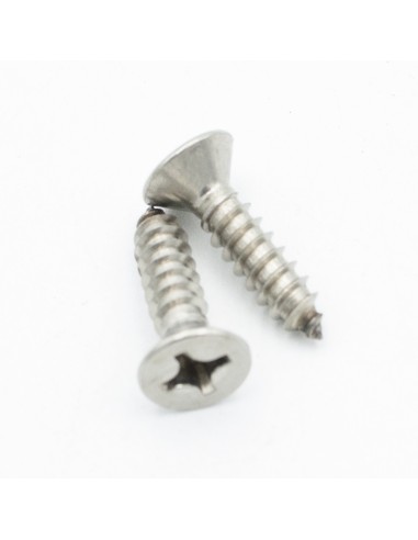 Tornillo reja sumidero piscina HAYWARD (juego 2und) 500602000500