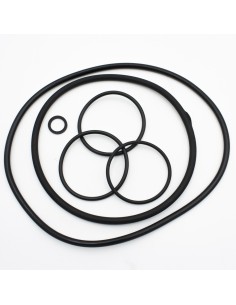 Juntas bomba piscina ASTRAL Verdon/VBL ES 4405010899 (kit...