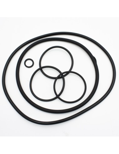 ASTRAL Verdon/VBL ES 4405010899 pool pump seals (kit of 6 seals)