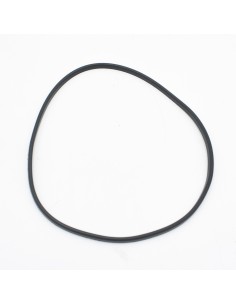 Junta cuerpo bomba piscina ASTRAL Aquasphere SSP 4405011249