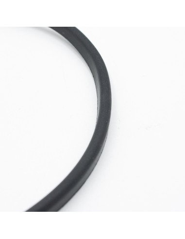 Junta cuerpo bomba piscina ASTRAL Aquasphere...