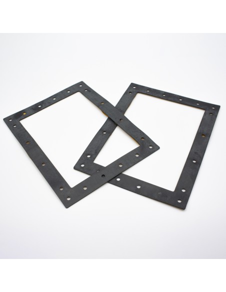 Junta skimmer liner ASTRAL pequeño 4402010307 (x2)