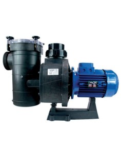 Bomba piscina HAYWARD HCP4200 10.00cv tf IE3 HCP421003E...