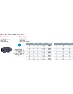 Valvula antiretorno PVC-U   50mm PN16 CEPEX con muelle... 2